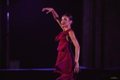 DSC09429