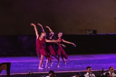 DSC09517