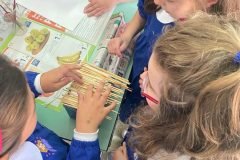 WhatsApp-Image-2024-05-22-at-12.59.40-7