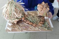 WhatsApp-Image-2024-05-22-at-12.59.41