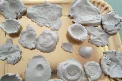 fossili-1