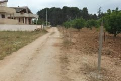 Strada-di-collegamento-da-via-Conversano-a-via-Monopoli-7